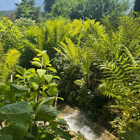 Casa vacanze Carinthian Freedom Goritschach