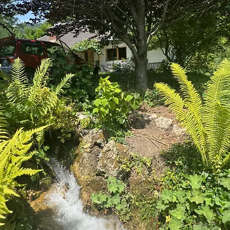Ferienhaus Carinthian Freedom Goritschach